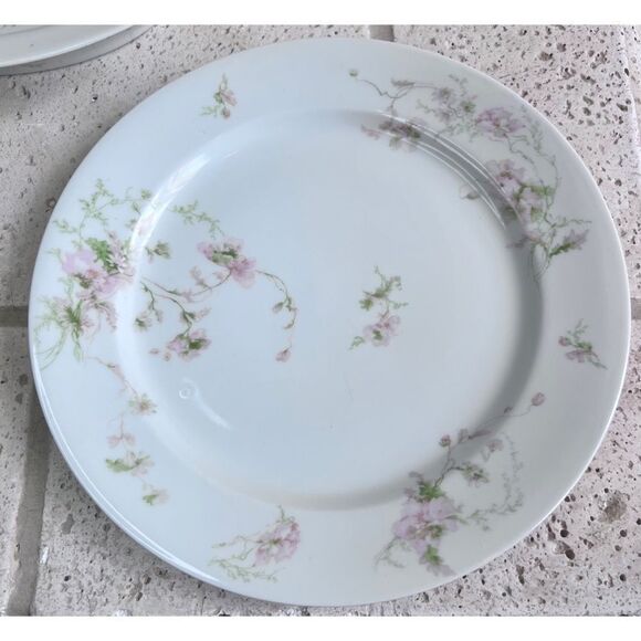 Vintage GDA CH Field Haviland Limoges France Floral Dinner Plates & Serving Dish - Picture 2 of 15